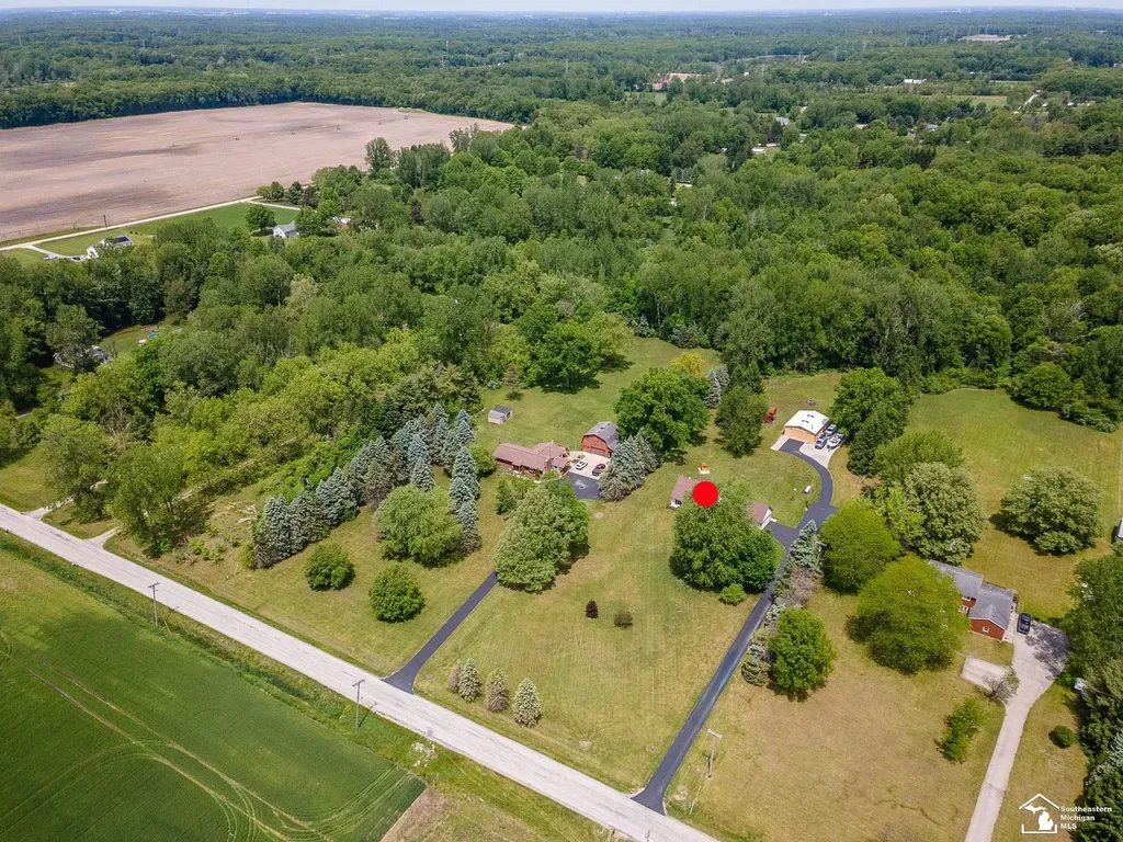 14060 Todd Road Ida Township MI 49270
