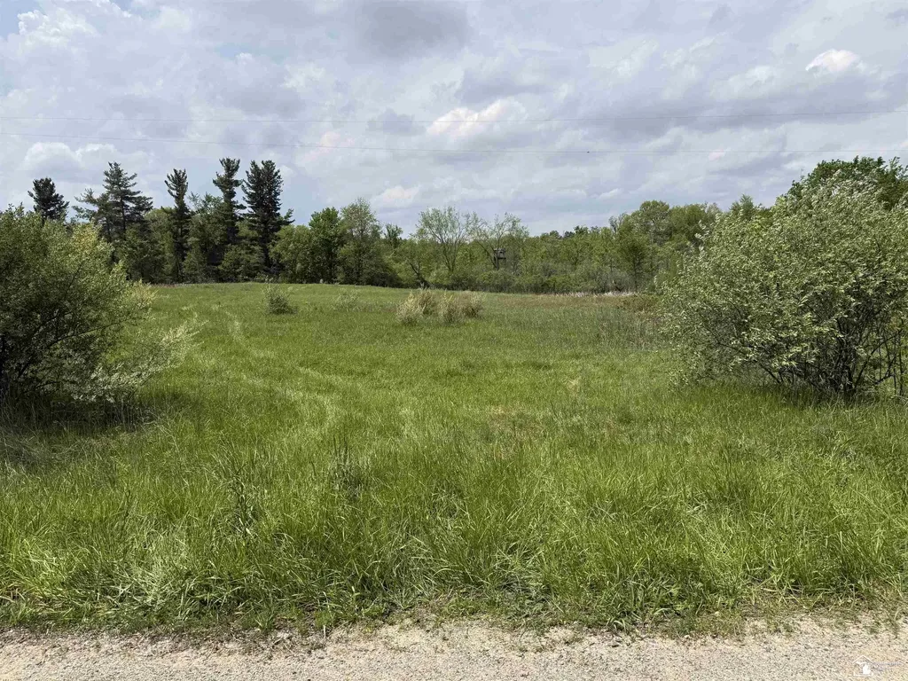 1 Clark & Burt Road Woodbridge Township MI 49239