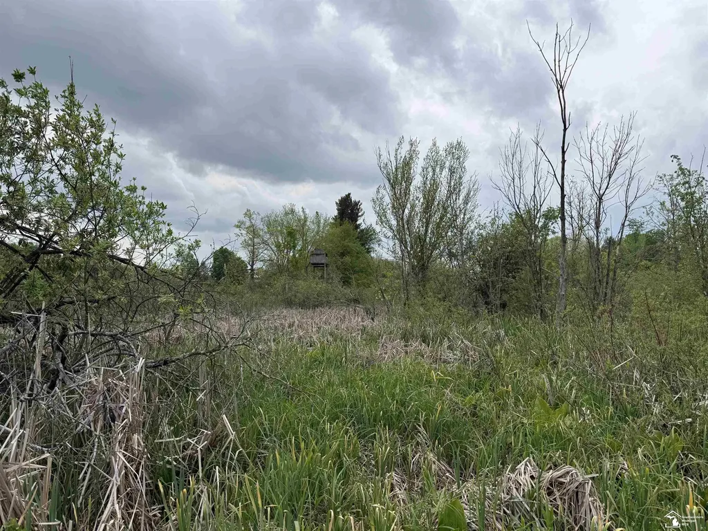 1 Clark & Burt Road Woodbridge Township MI 49239