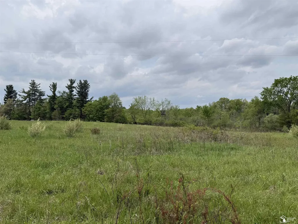 1 Clark & Burt Road Woodbridge Township MI 49239