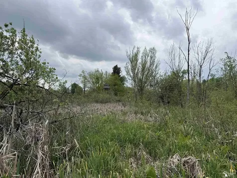1 Clark & Burt Road Woodbridge Township MI 49239