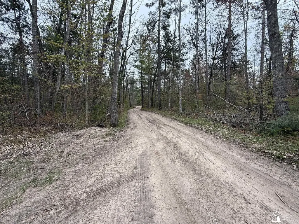 1391 W Hill Road Elmer Township MI 49756