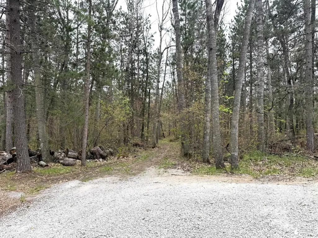 1391 W Hill Road Elmer Township MI 49756