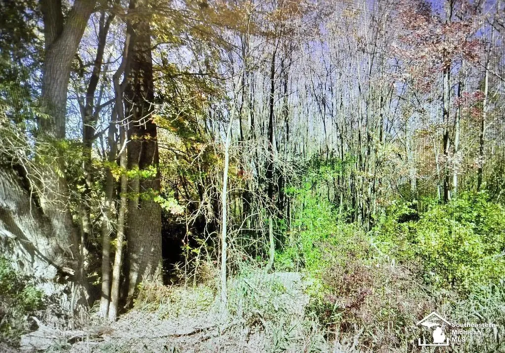 49570 Bog Road Van Buren Charter Township MI 48111