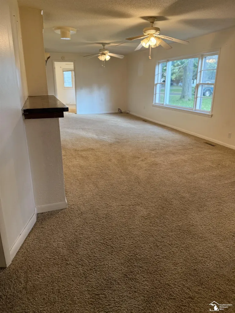 29 E Vesey Street Petersburg City MI 49270