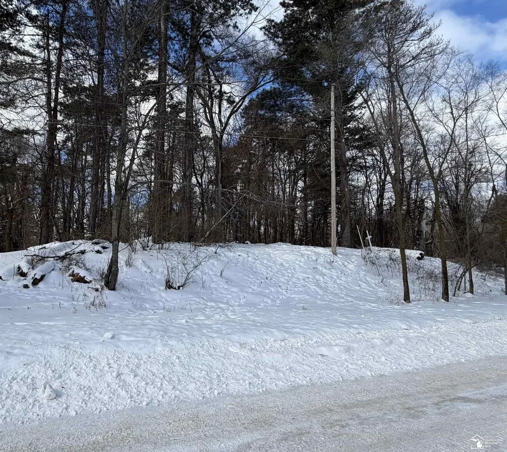 11800 Galway Drive Somerset Township MI 49249