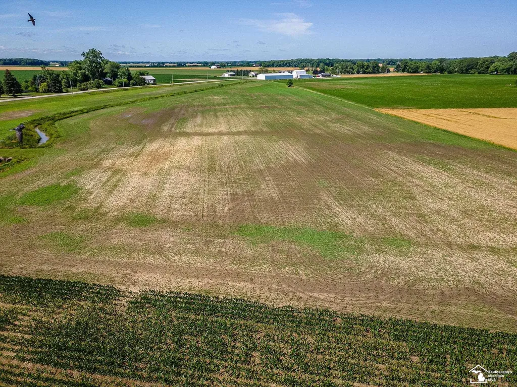 0 Cousino Road Erie Township MI 48133