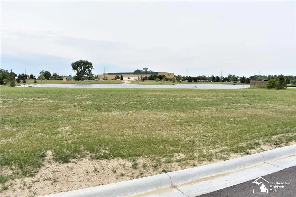16484 Tecumseh Street Dundee Village MI 48131