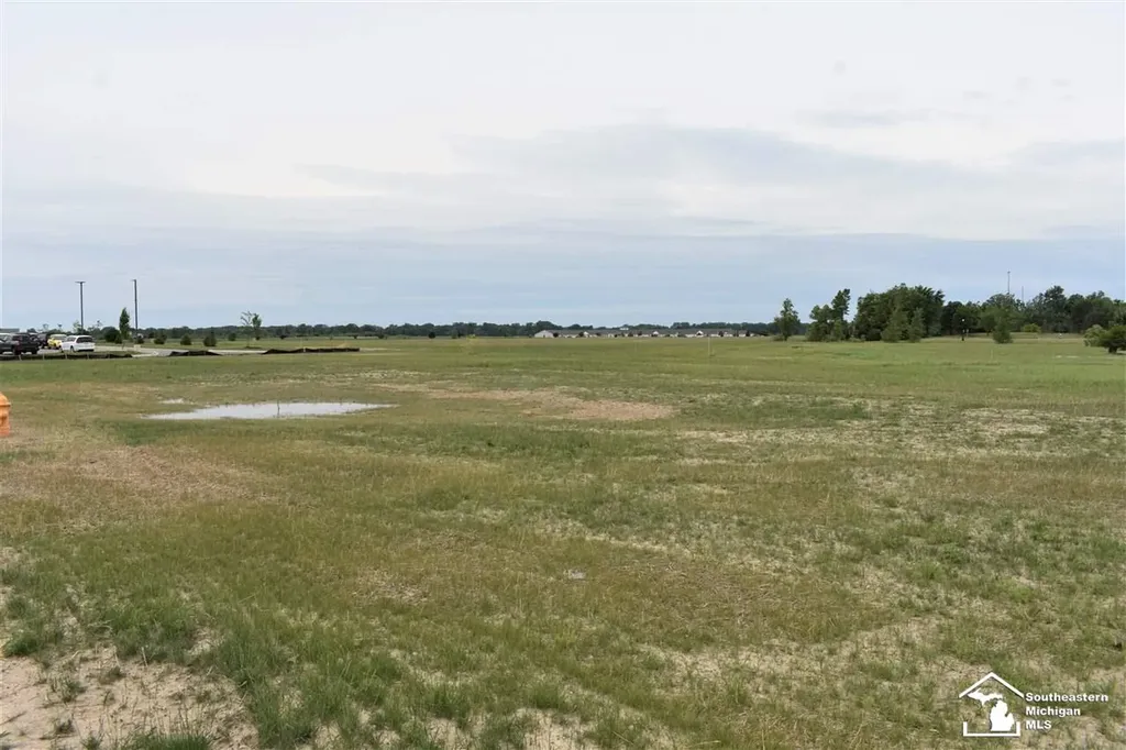16488 Tecumseh Street Dundee Village MI 48131