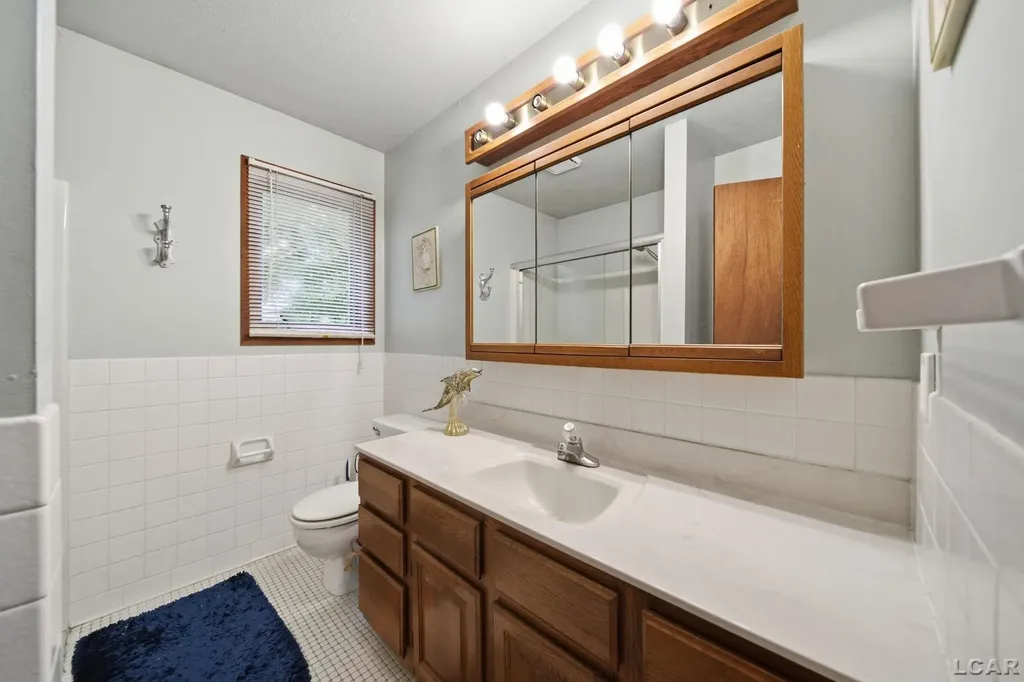 295 Ridgeway Drive Cambridge Township MI 49230