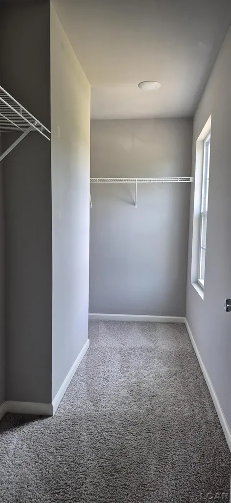 3284 Sutton Road Raisin Township MI 49221
