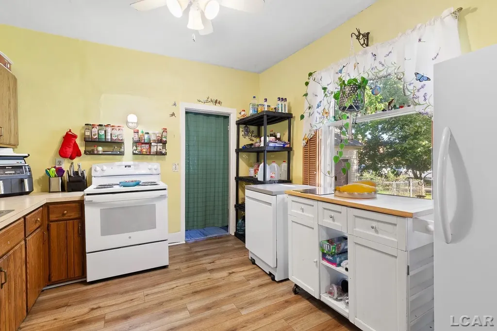 116 Fourth Street Onsted Village MI 49265
