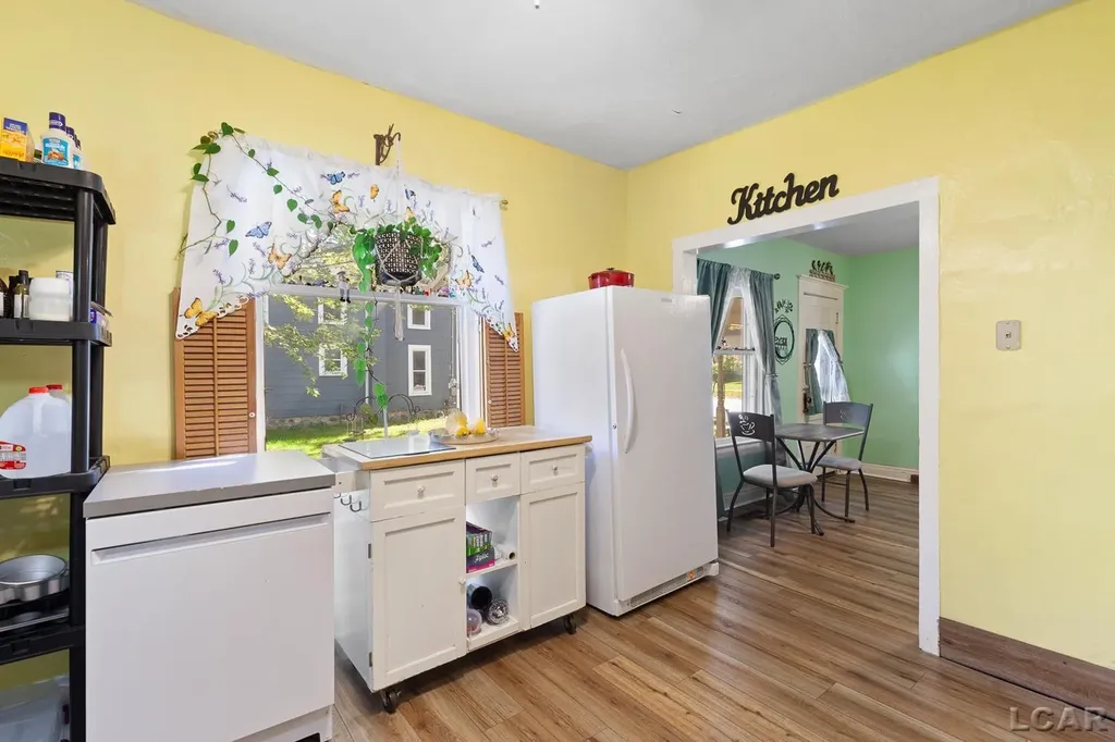 116 Fourth Street Onsted Village MI 49265
