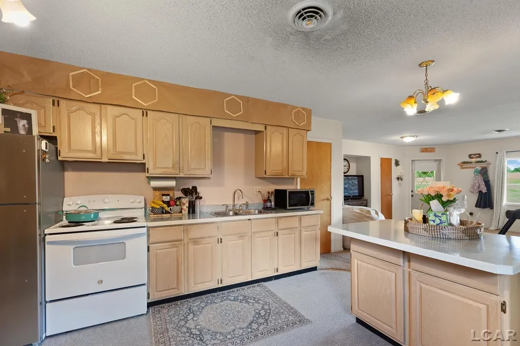 9845 W M-50 Highway Cambridge Township MI 49265