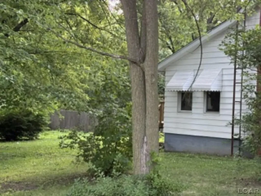 907 Bristol Street Adrian City MI 49221