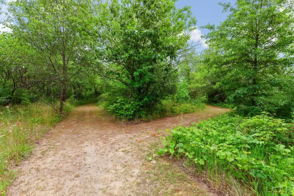 5340 Sutton Road Britton Village MI 49229
