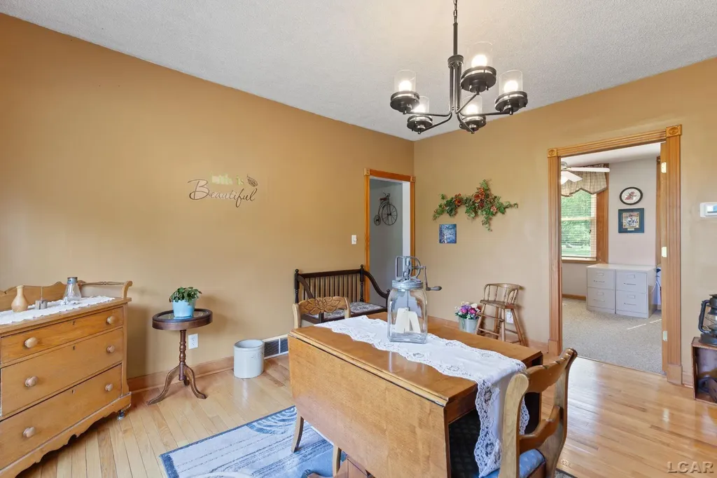 807 Conklin Drive Tecumseh City MI 49286