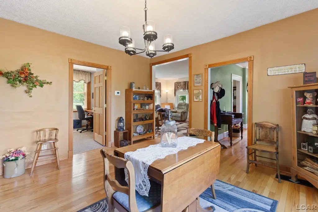 807 Conklin Drive Tecumseh City MI 49286