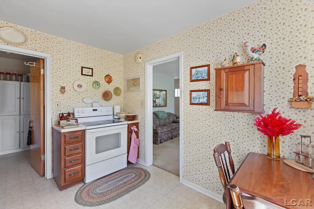 1205 Shady Lane Tecumseh City MI 49286