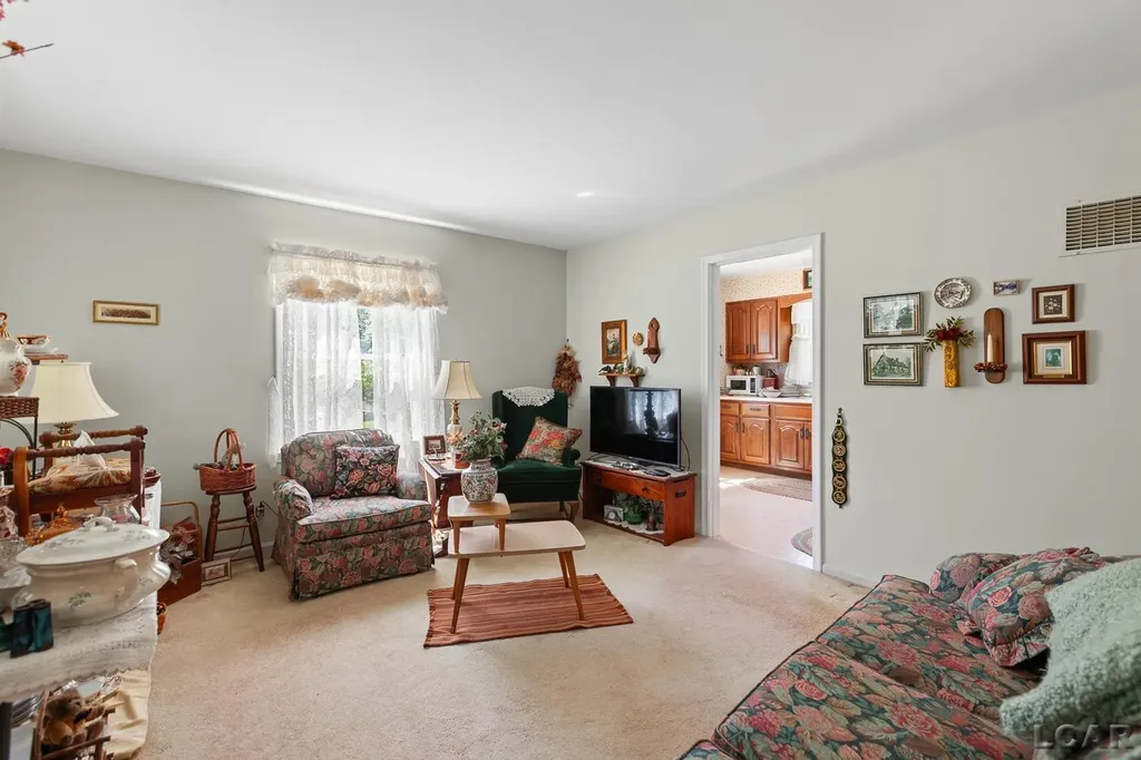 1205 Shady Lane Tecumseh City MI 49286