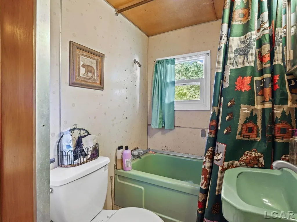 9216 Bass Drive Reading Township MI 49274