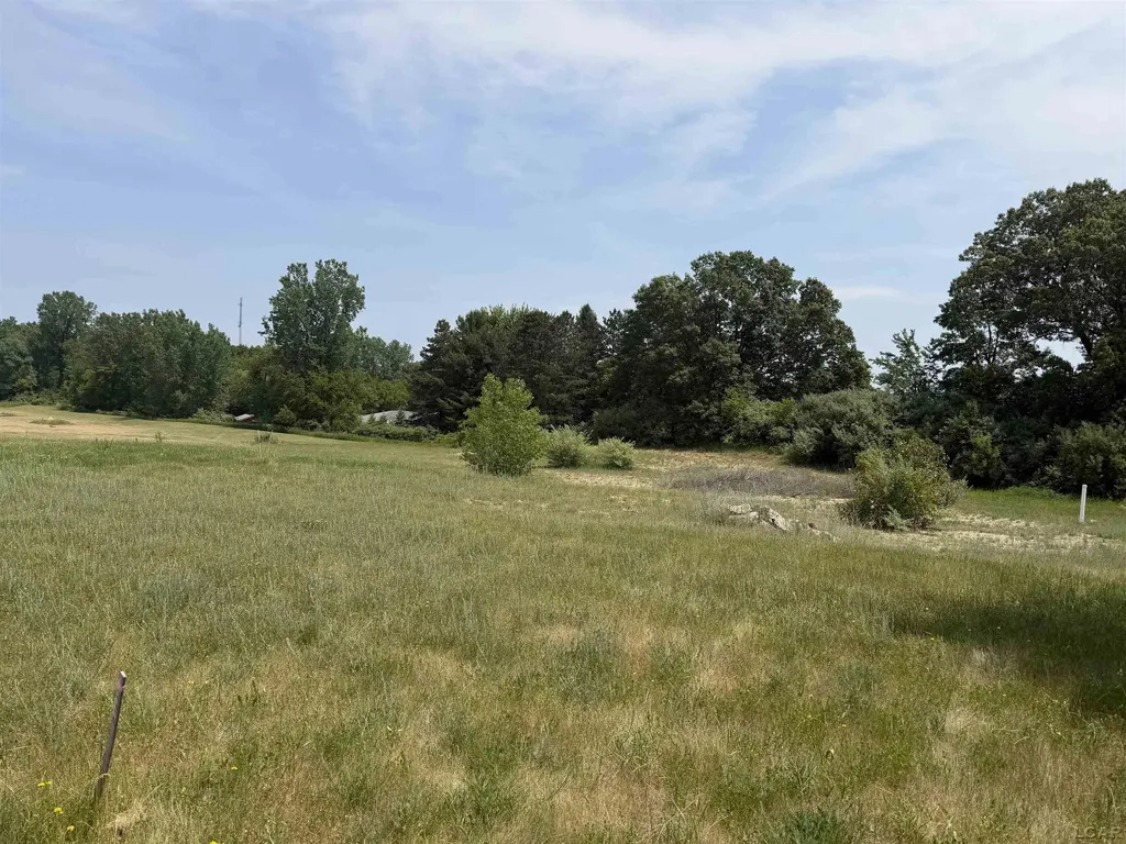 Lot 47 Samantha Drive Raisin Township MI 49229