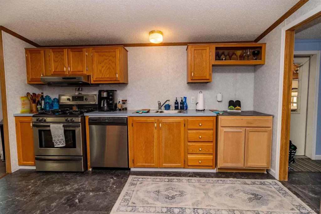 5043 N Adrian Highway Raisin Township MI 49221