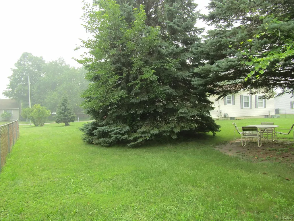 1109 Jane Street Tecumseh City MI 49286