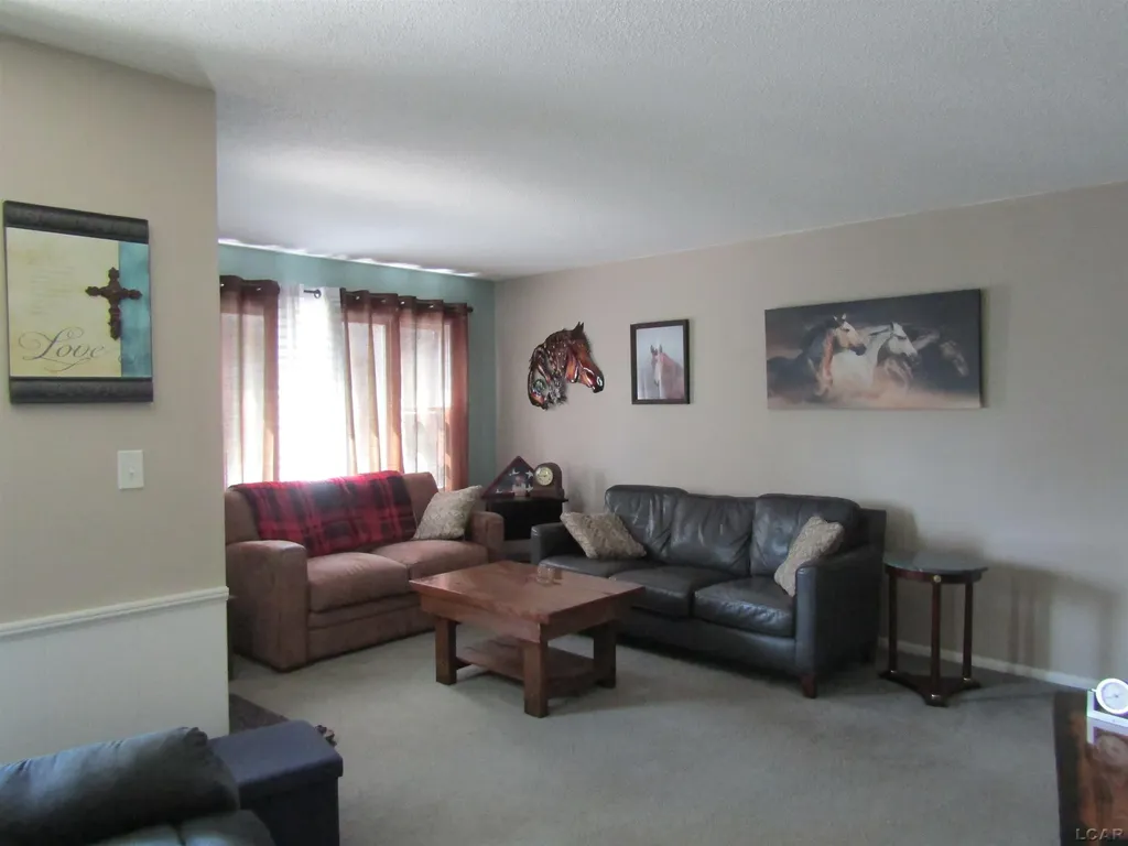 1109 Jane Street Tecumseh City MI 49286