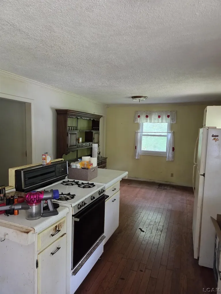 15542 W Dunbar Road Dundee Township MI 49270