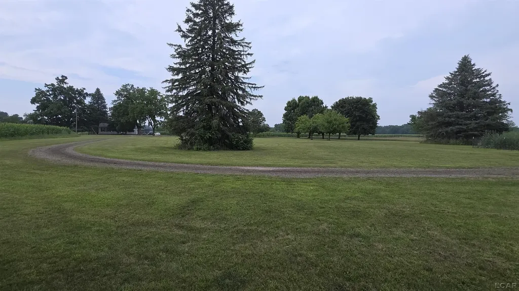 11625 W Ridgeville Road Medina Township MI 49256