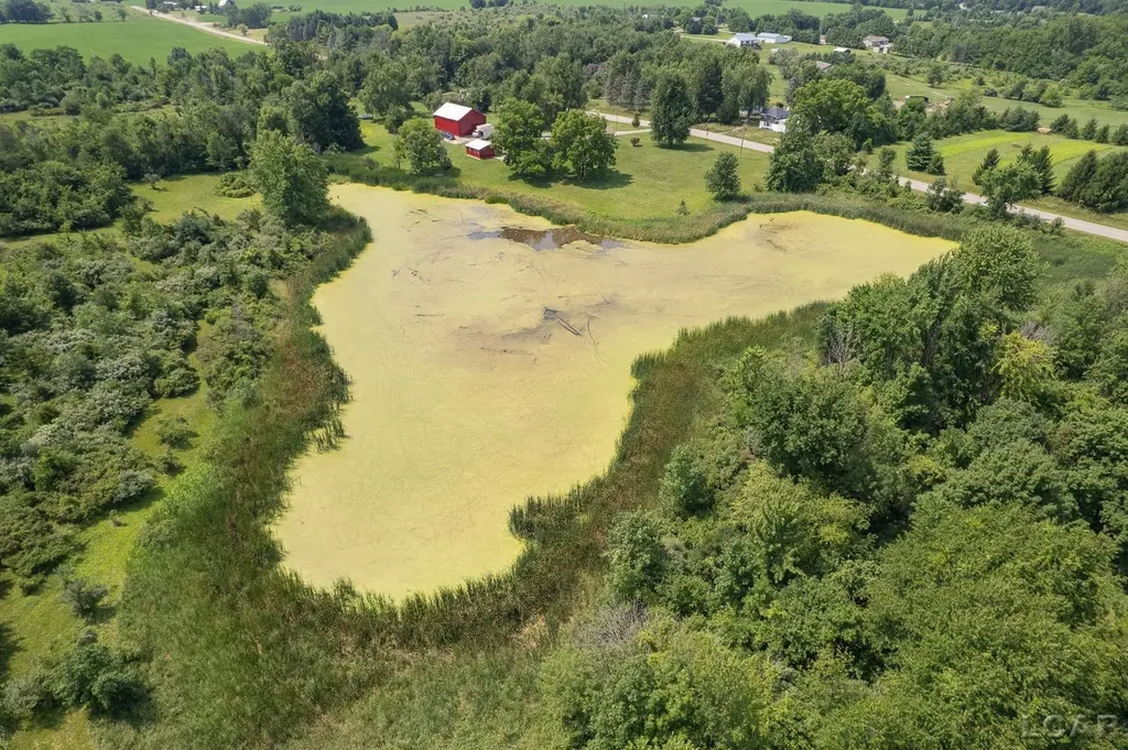 12895 Forrister Road Clayton Village MI 49235