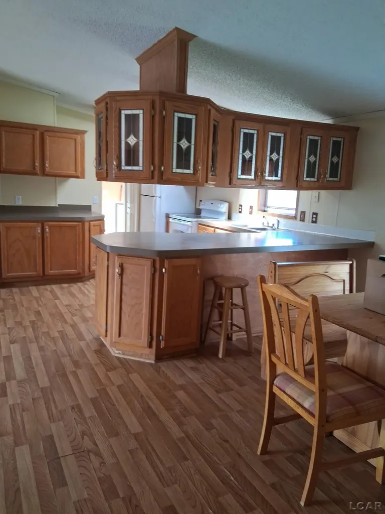 1022 Davis Street Fairfield Township MI 49221
