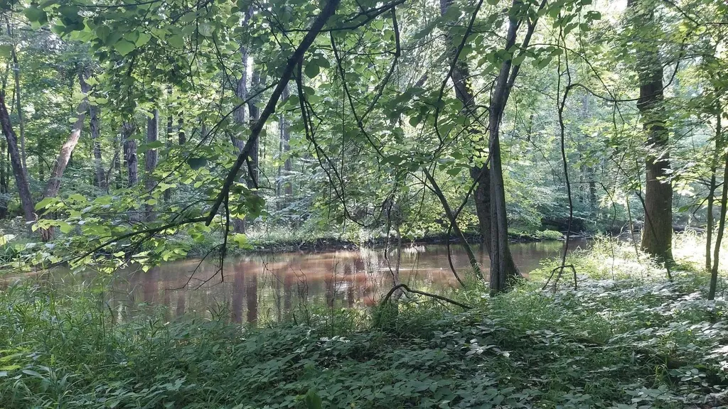 W Mosherville Road Litchfield Township MI 49252