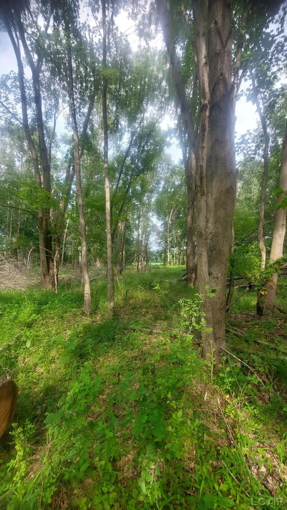 W Mosherville Road Litchfield Township MI 49252
