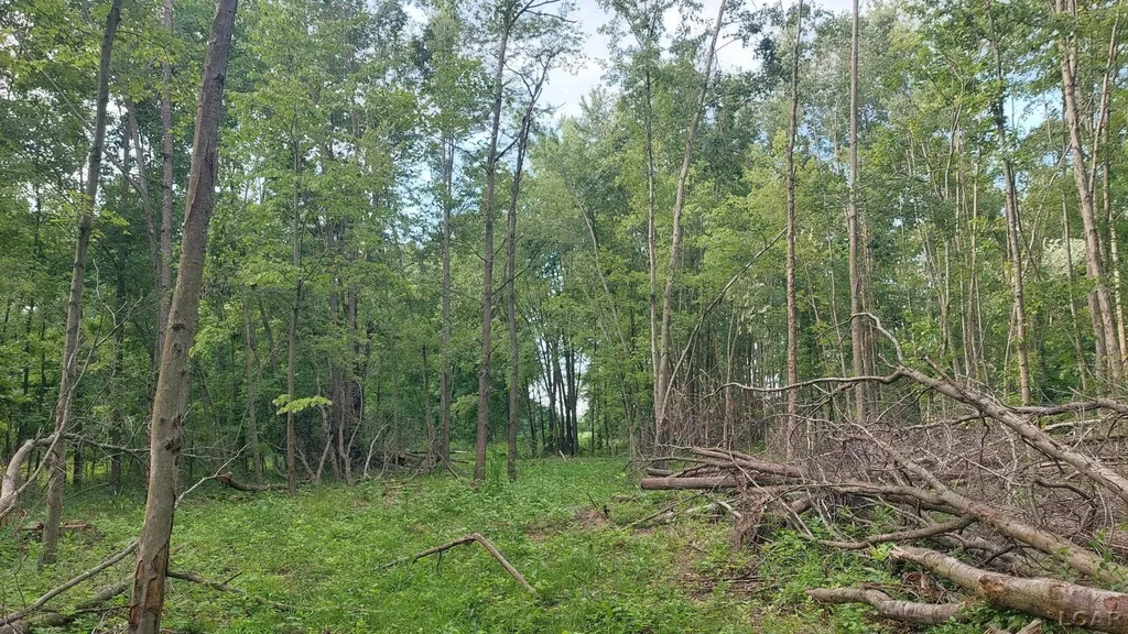 W Mosherville Road Litchfield Township MI 49252