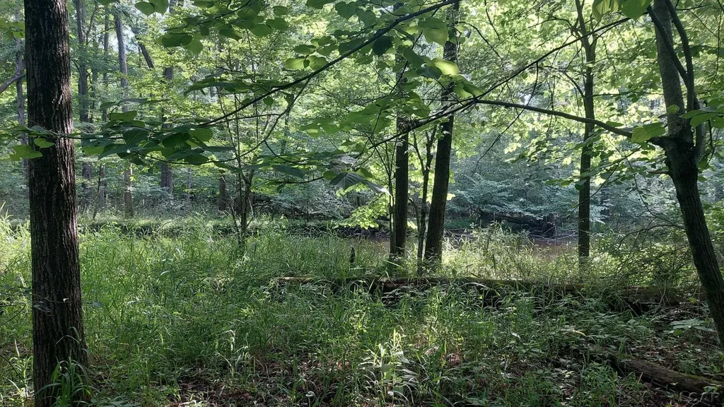 W Mosherville Road Litchfield Township MI 49252