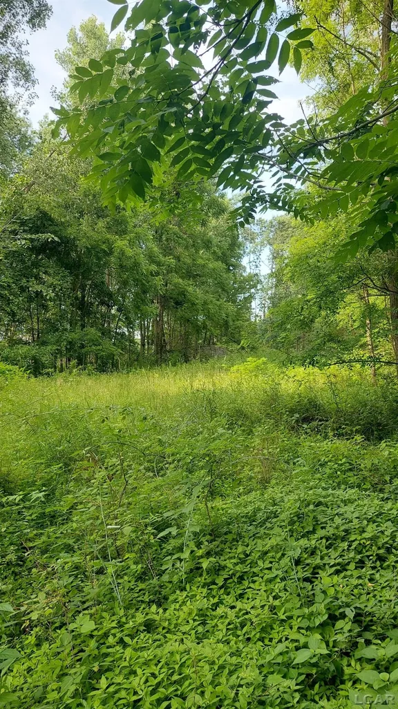 W Mosherville Road Litchfield Township MI 49252