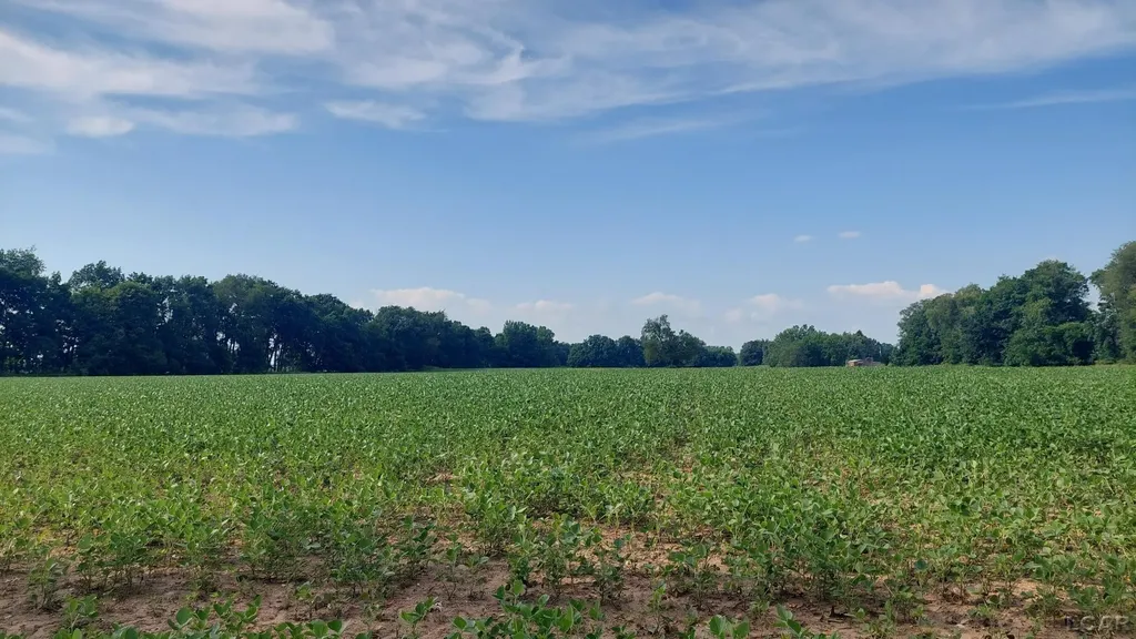 W Mosherville Road Litchfield Township MI 49252