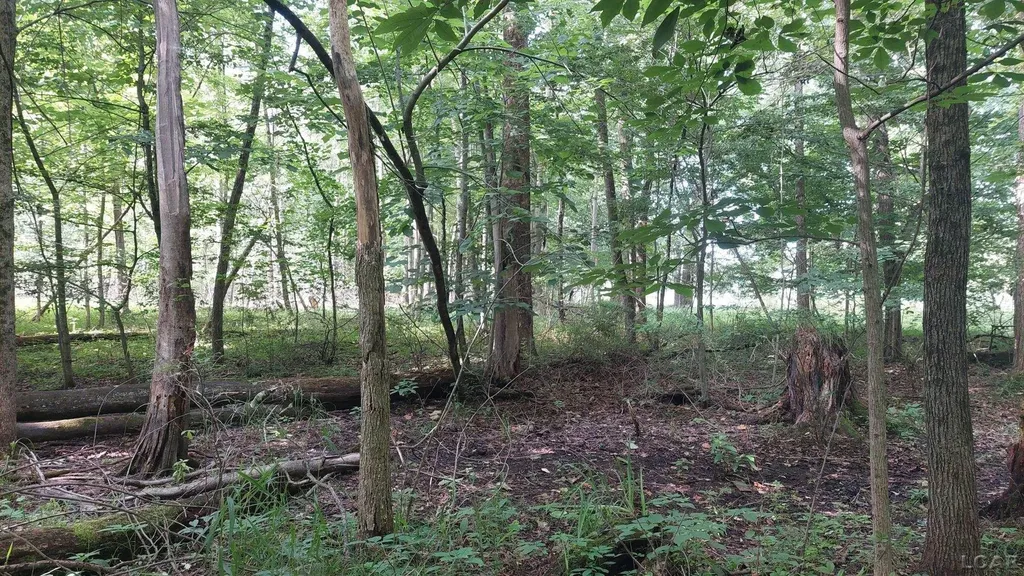 W Mosherville Road Litchfield Township MI 49252