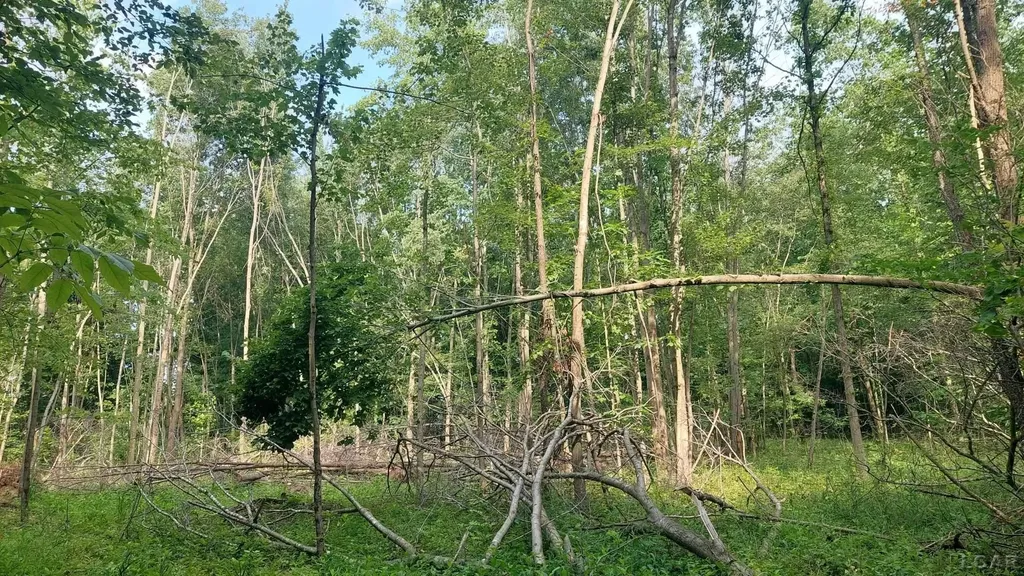 W Mosherville Road Litchfield Township MI 49252