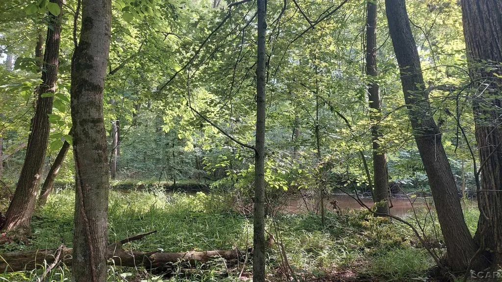 W Mosherville Road Litchfield Township MI 49252