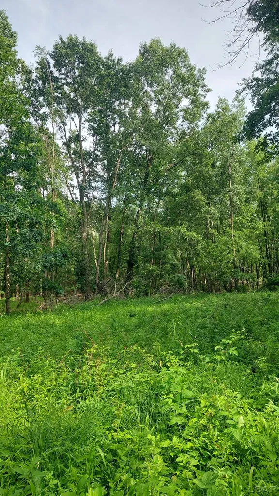 W Mosherville Road Litchfield Township MI 49252