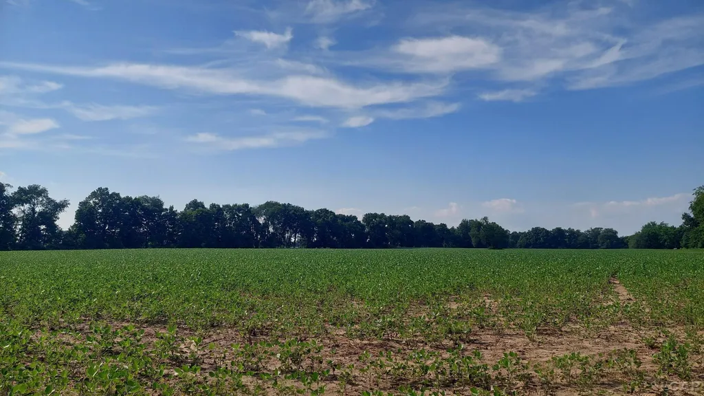 W Mosherville Road Litchfield Township MI 49252