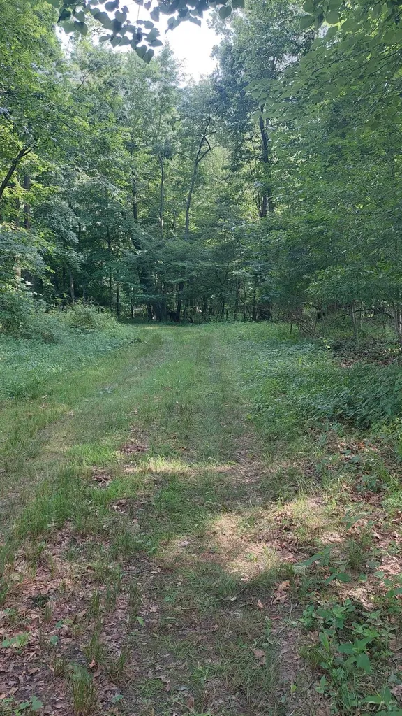 W Mosherville Road Litchfield Township MI 49252
