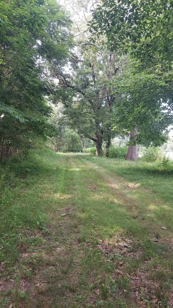 W Mosherville Road Litchfield Township MI 49252