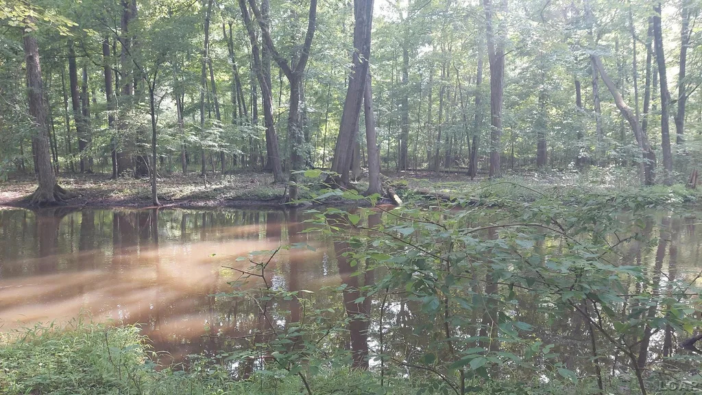 W Mosherville Road Litchfield Township MI 49252