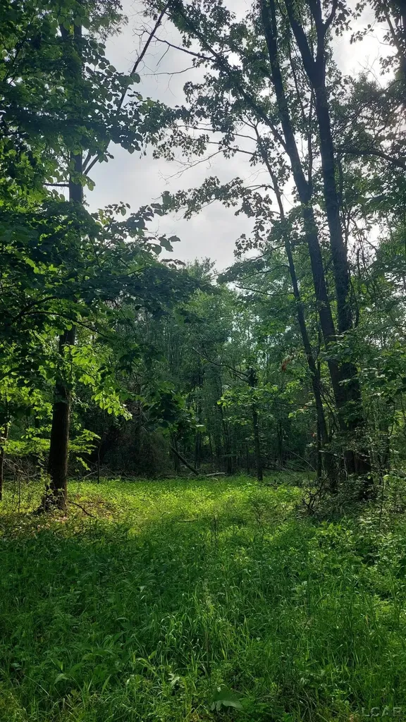 W Mosherville Road Litchfield Township MI 49252