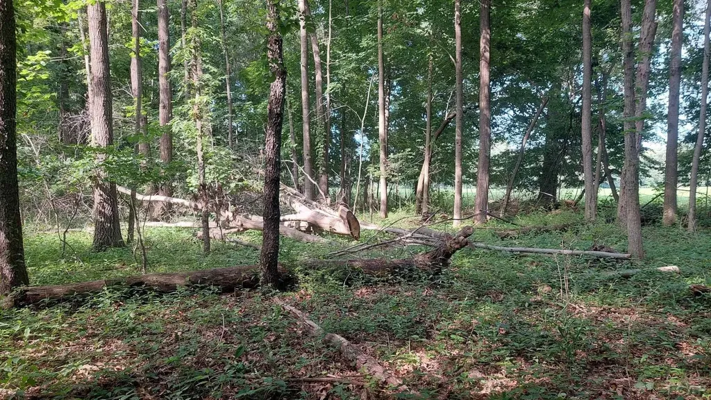 W Mosherville Road Litchfield Township MI 49252