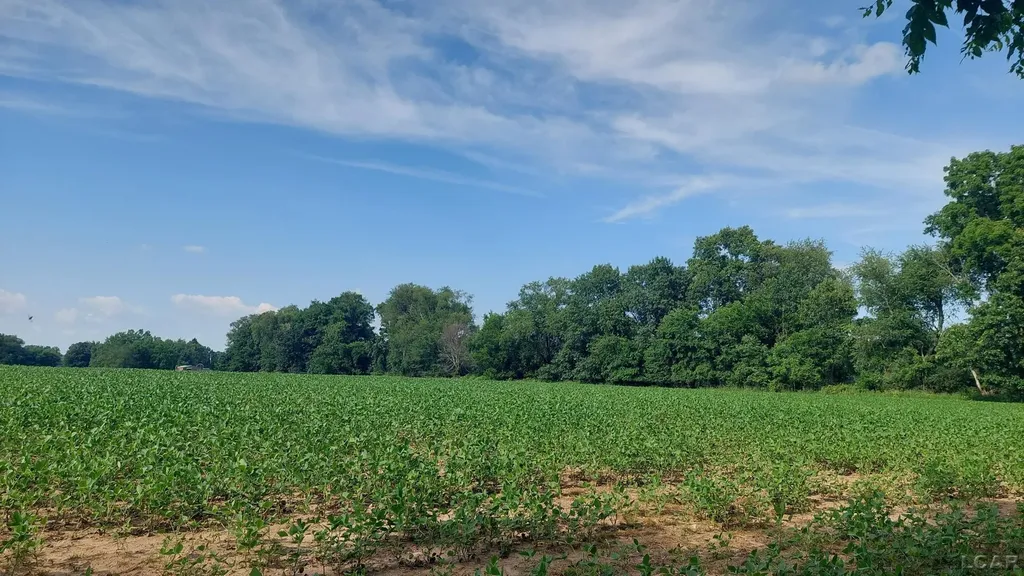 W Mosherville Road Litchfield Township MI 49252
